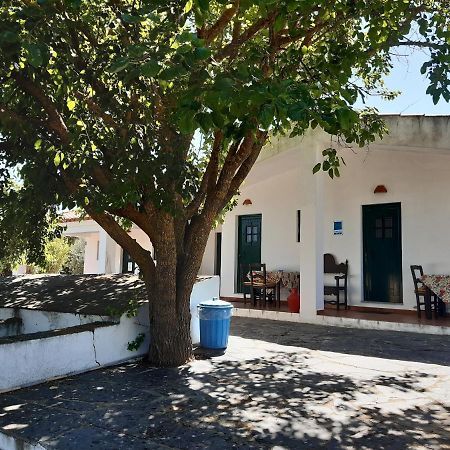 Horta do Muro Campo Maior Exterior foto